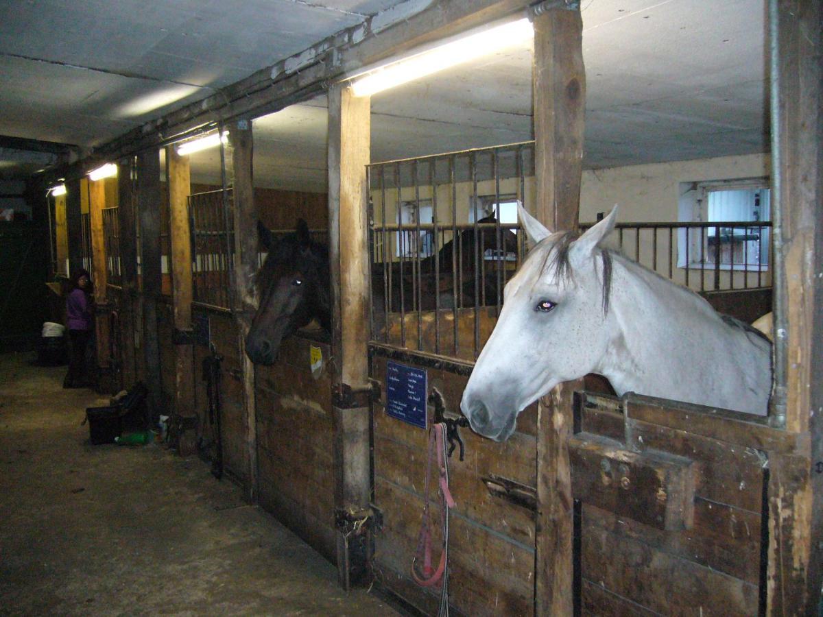 Ferienhof Drewes Ranch Wietzendorf Εξωτερικό φωτογραφία