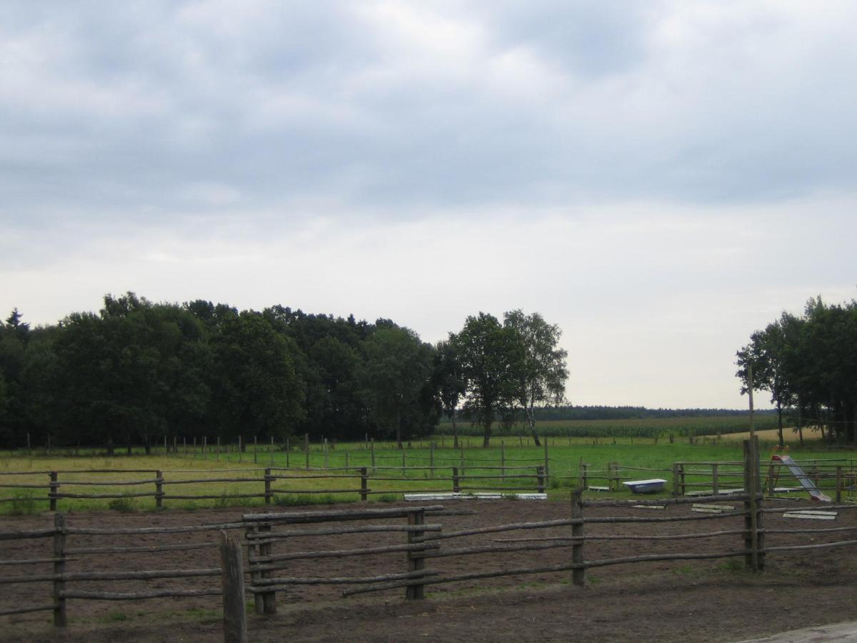 Ferienhof Drewes Ranch Wietzendorf Εξωτερικό φωτογραφία