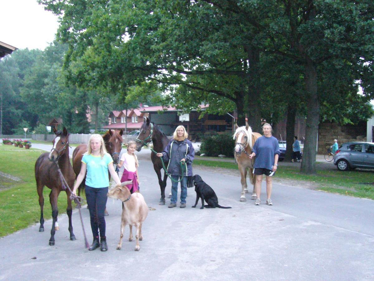 Ferienhof Drewes Ranch Wietzendorf Εξωτερικό φωτογραφία