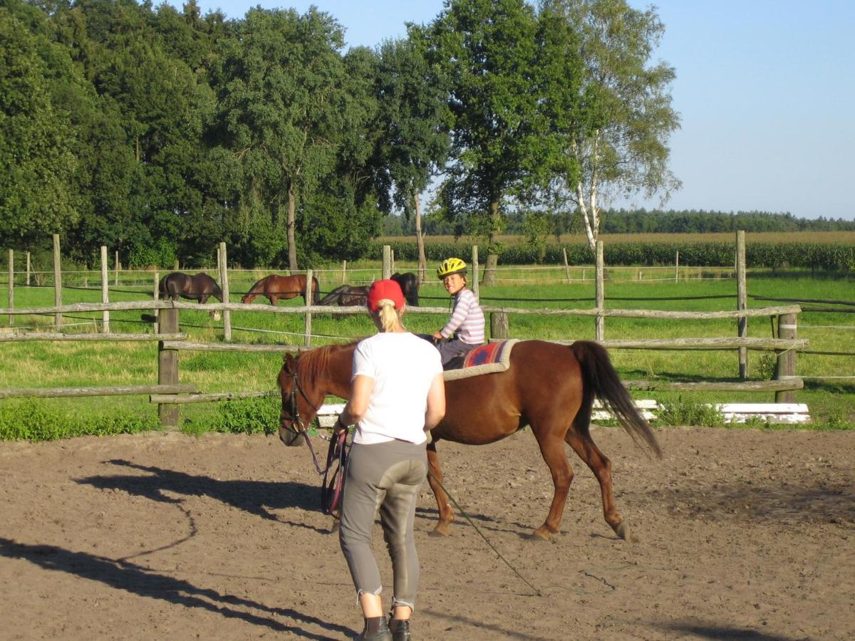 Ferienhof Drewes Ranch Wietzendorf Εξωτερικό φωτογραφία