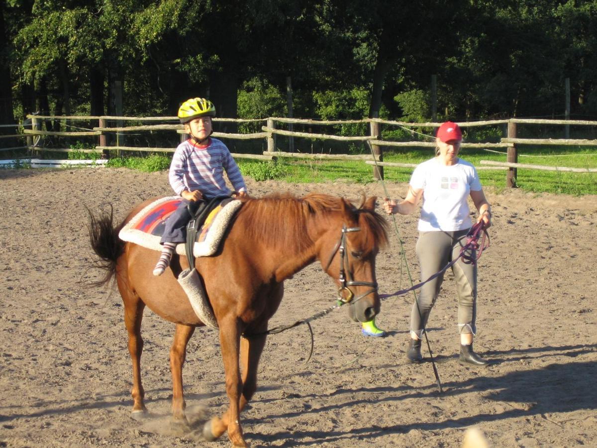 Ferienhof Drewes Ranch Wietzendorf Εξωτερικό φωτογραφία